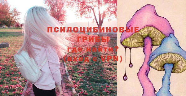 бутират Горняк