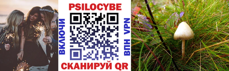 Псилоцибиновые грибы MAGIC MUSHROOMS  где купить наркотик  Набережные Челны 